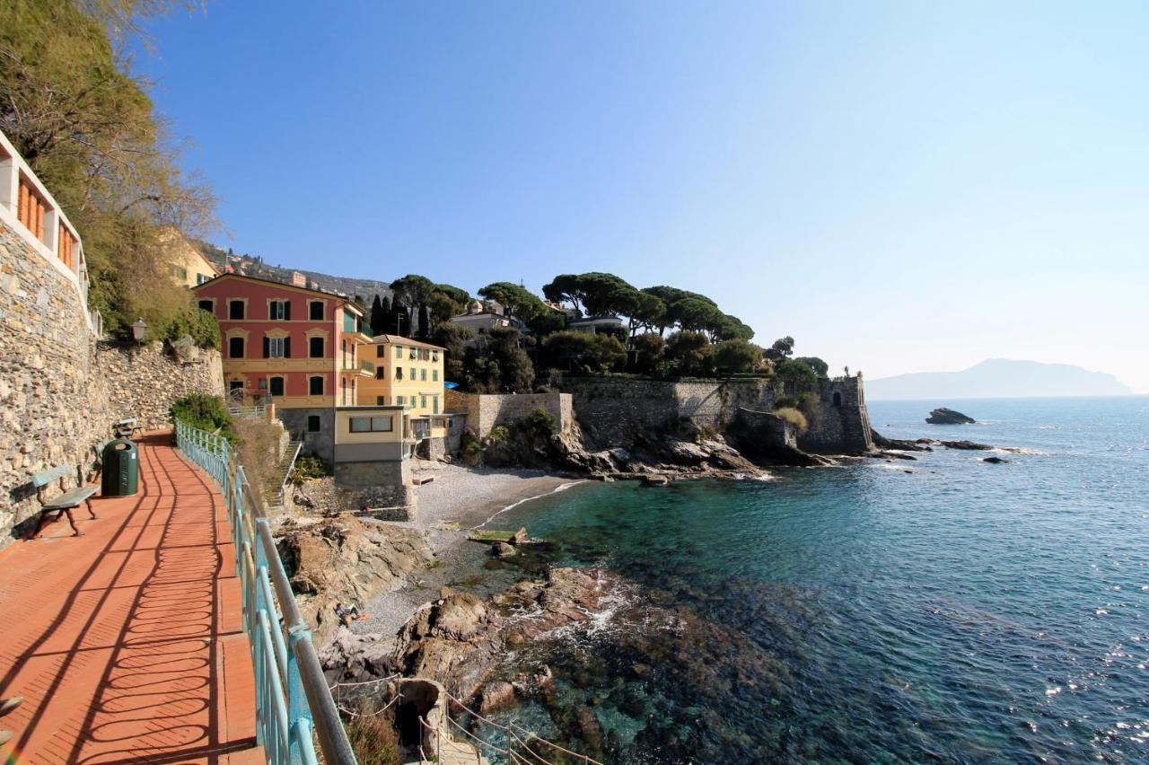 House Nervi By World *